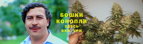дурь Кулебаки