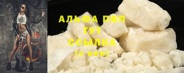 эйфоретик Кукмор