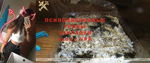 мяу мяу мука Лабытнанги