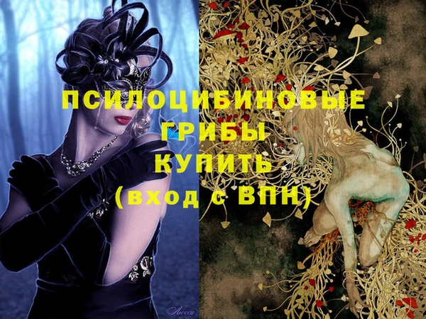 мяу мяу мука Лабытнанги