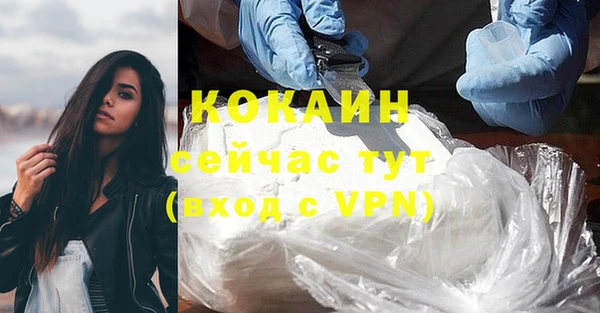 эйфоретик Кукмор